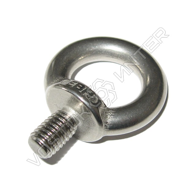 нержавіючий рим-болт DIN 580 фото 1